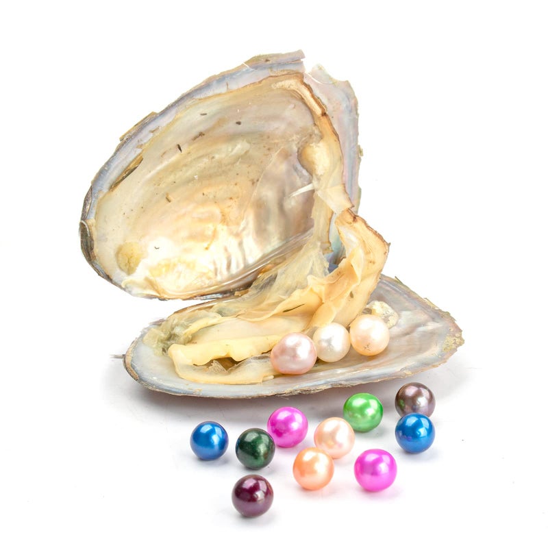 POSHOPS 50 PC Freshwater Oyster with Pearls Inside Round Pearls Oysters Bulk 7-8mm Love Wish Pearl Party Kids Activity Birthday Gift - Image 5